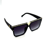 LV Sunglasses LV 301 C